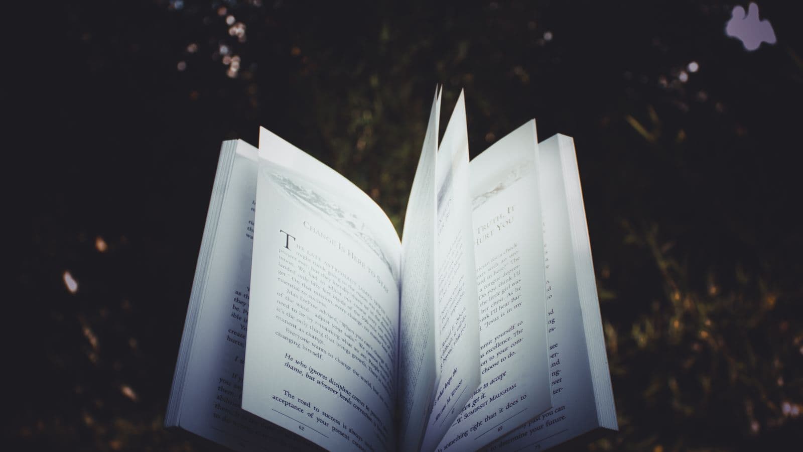 TOEFL Grammar: The Structures That Matter Most Across All Four Sections